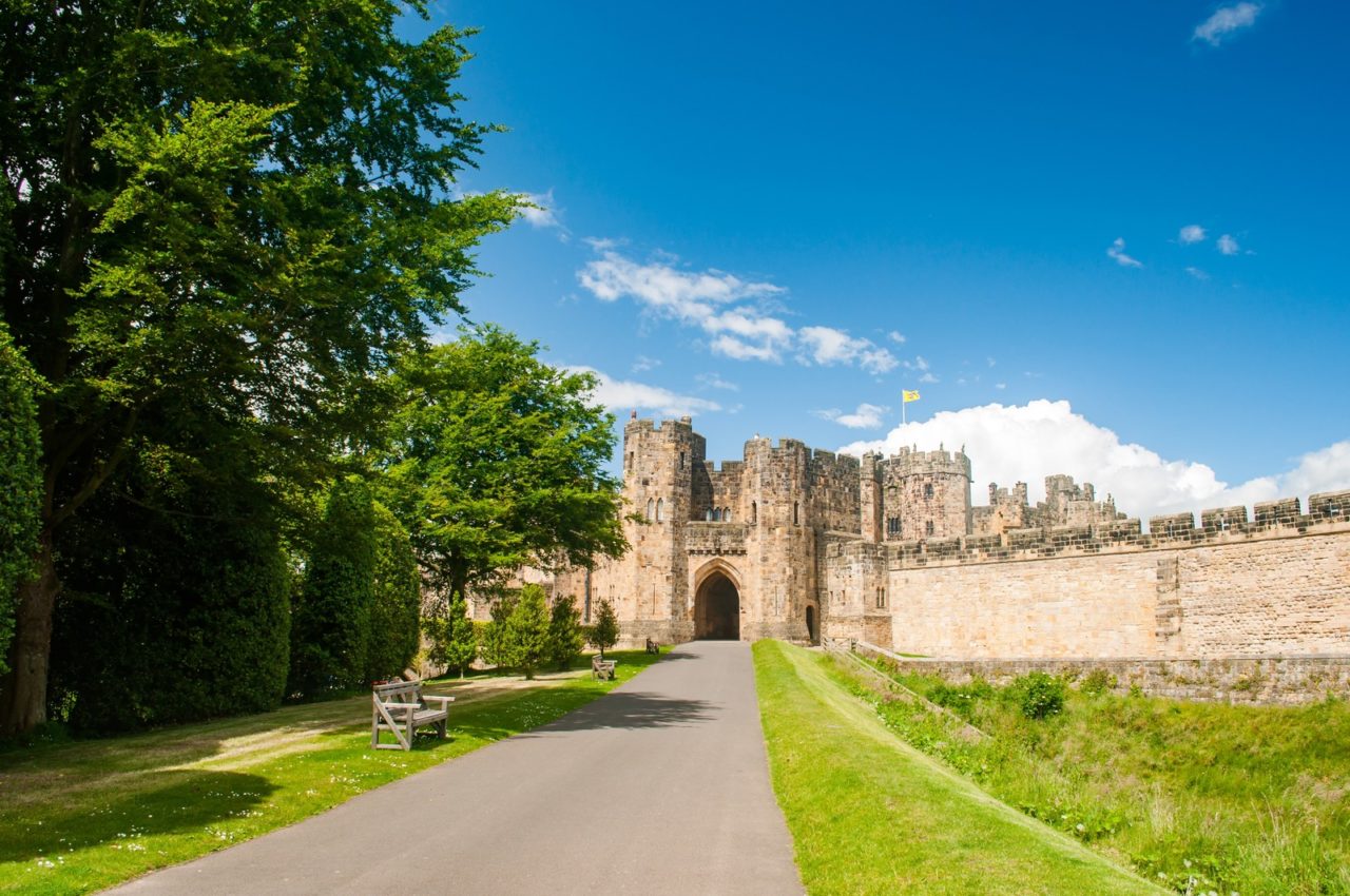 >ただいま友だち募集中！